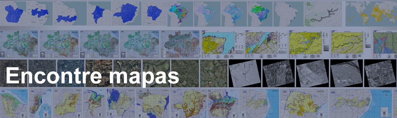 Portal De Mapas Do Ibge